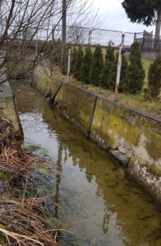 KIELCE, EKSPERTYZA
