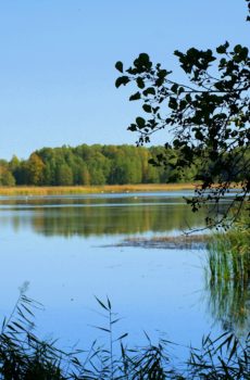 lake-4587902_1920